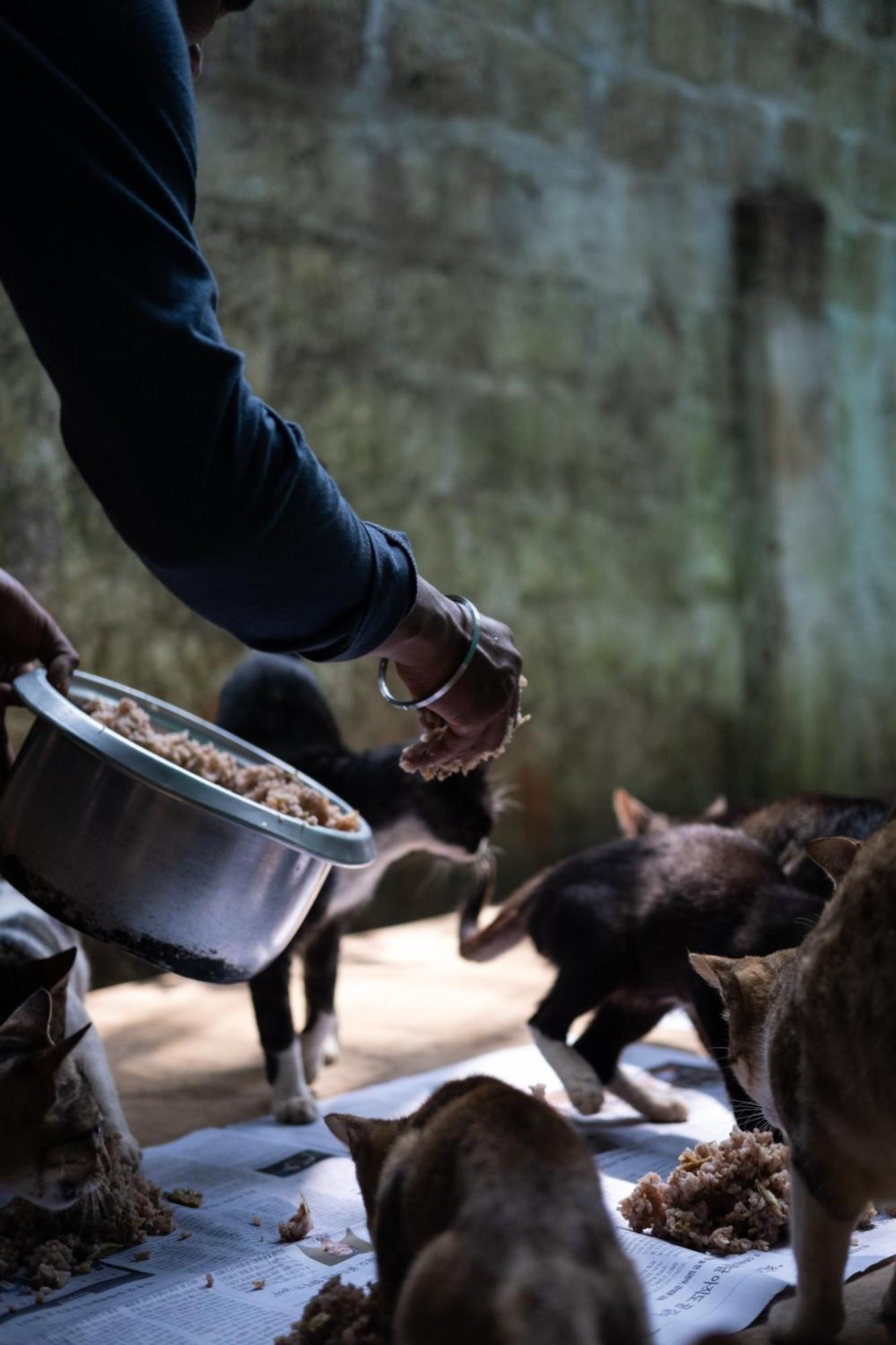 Alass Ga For Pets Lovers Trincomalee Ngoại thất bức ảnh