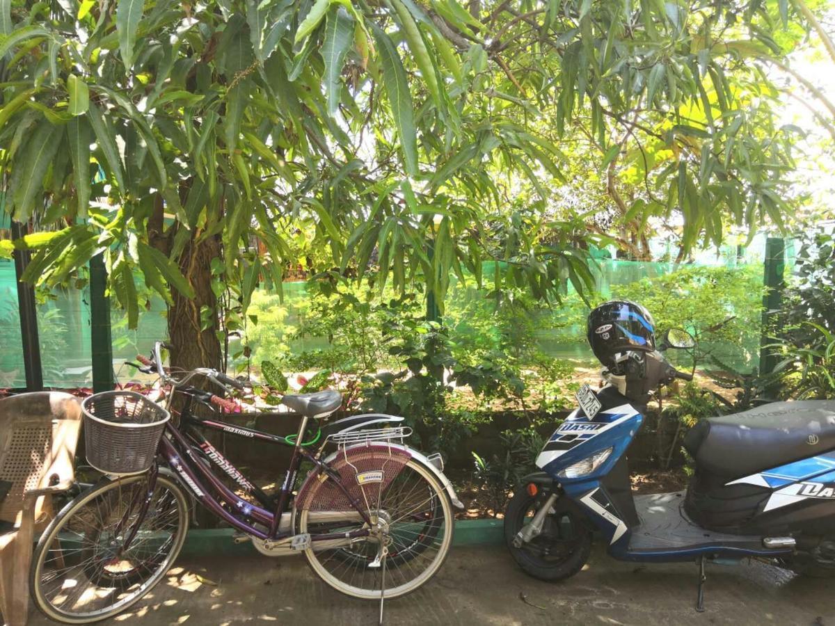 Alass Ga For Pets Lovers Trincomalee Ngoại thất bức ảnh