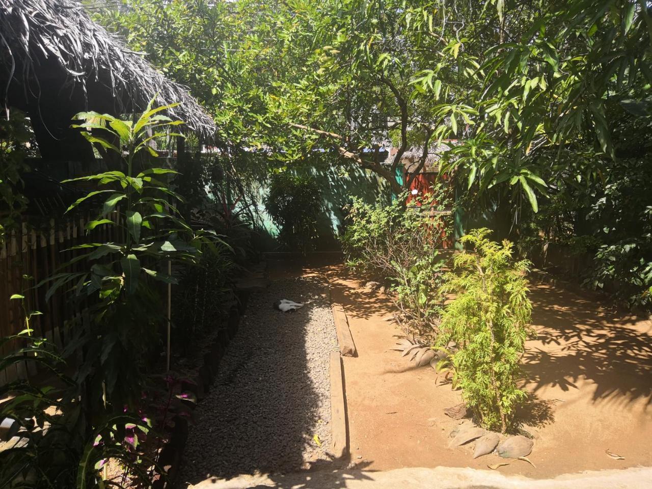 Alass Ga For Pets Lovers Trincomalee Ngoại thất bức ảnh