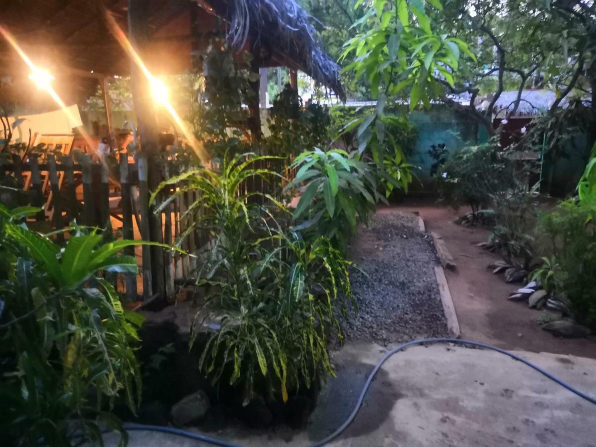 Alass Ga For Pets Lovers Trincomalee Ngoại thất bức ảnh