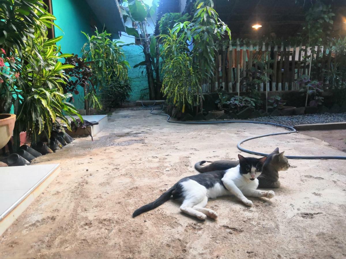 Alass Ga For Pets Lovers Trincomalee Ngoại thất bức ảnh